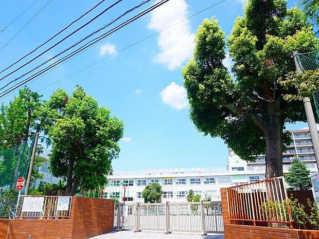 徒歩7分。江戸川区立篠崎小学校 500m
