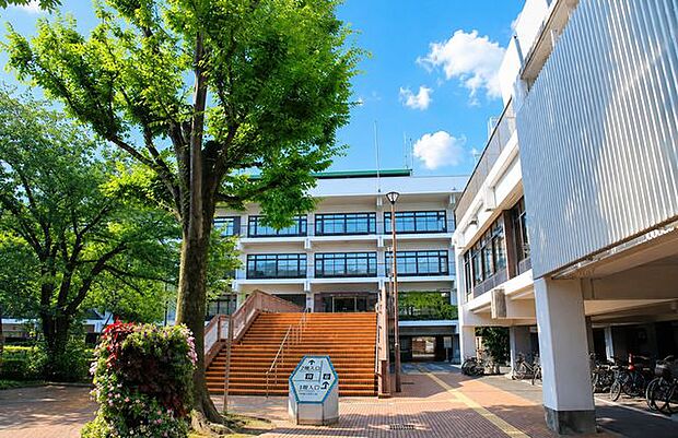 葛飾区役所 250m