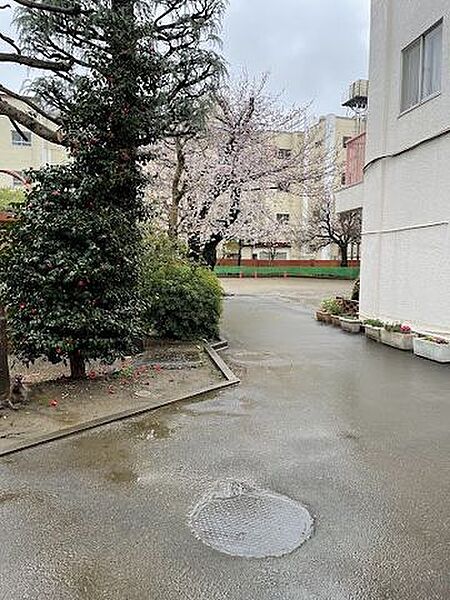 徒歩5分。関町白百合幼稚園 400m