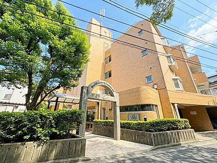 「外観」