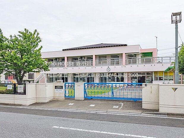 早稲田保育所 3000m