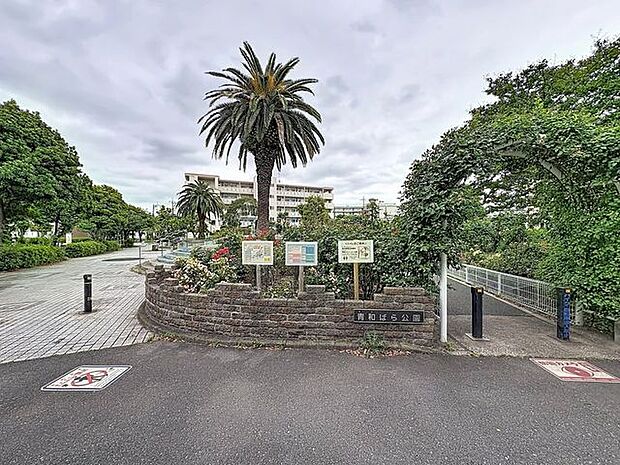 青和ばら公園 160m