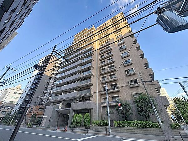 外観：313004945262