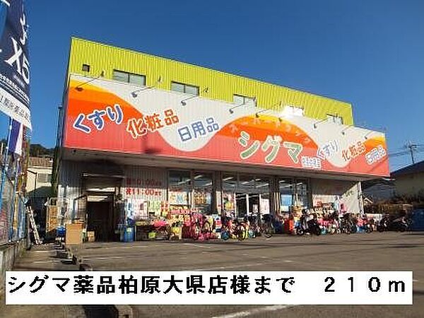 画像15:シグマ薬品柏原大県店様まで210m