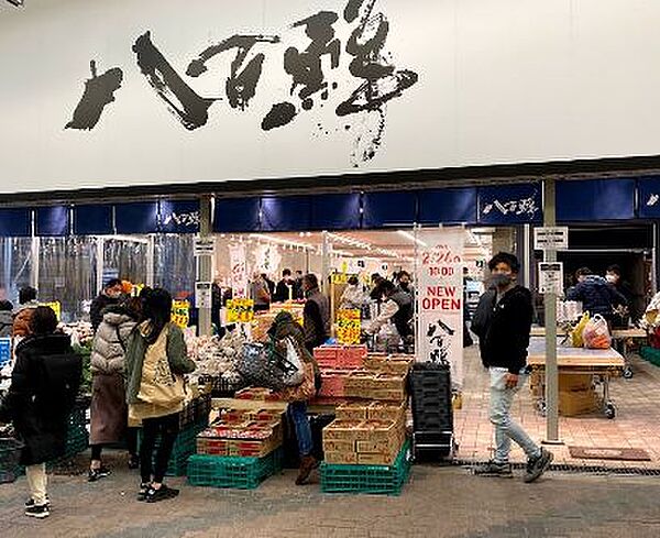 画像23:【スーパー】八百鮮　空堀店まで509ｍ