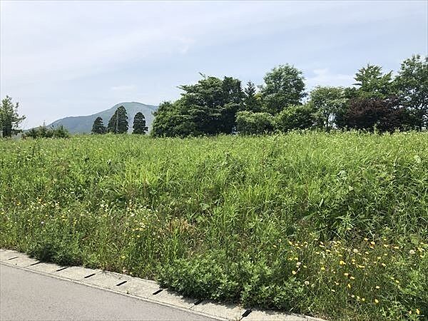 2-13号地現地外観
