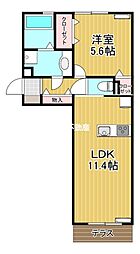 カーサ・ペキーノ 1階1LDKの間取り