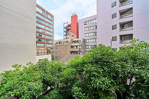 バルコニーからの眺望。朝から心地よい陽光が差し込みます。