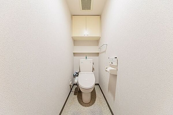 トイレの上部には収納付。トイレットペーパー等、買い置きもしやすそうです。