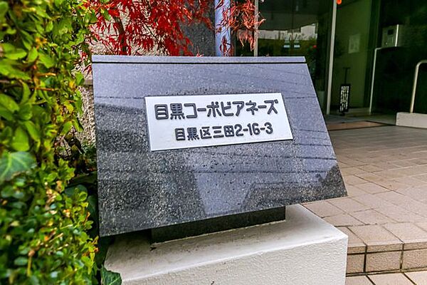 ～是非一度ご覧ください。現地に行ってみることでしか感じられないことがたくさんあります～