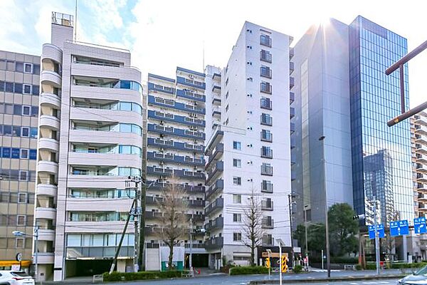 外観：313004636486