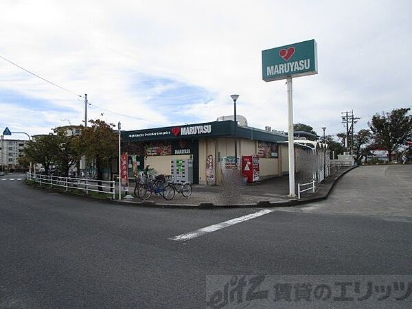 画像22:マルヤス　玉川店 徒歩17分。 1340m