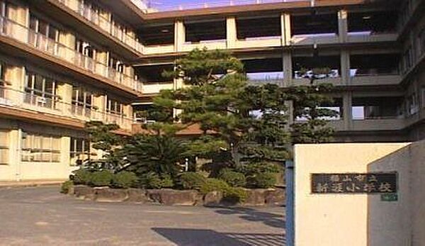 福山市立新涯小学校 徒歩10分。 800m