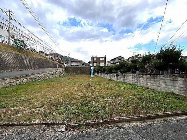 外観：334000196722