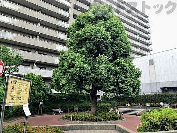 練馬区立貫井南公園 徒歩10分。 790m