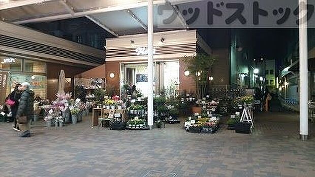 エミオ 富士見台 徒歩9分。 720m