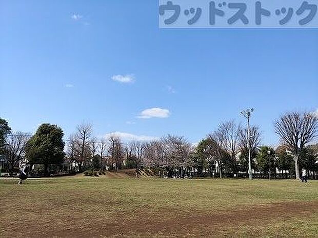 窪東公園 徒歩12分。 950m