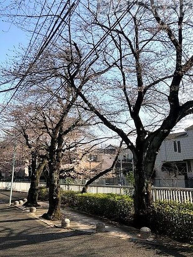 杉並区立緑橋緑地 徒歩9分。 690m