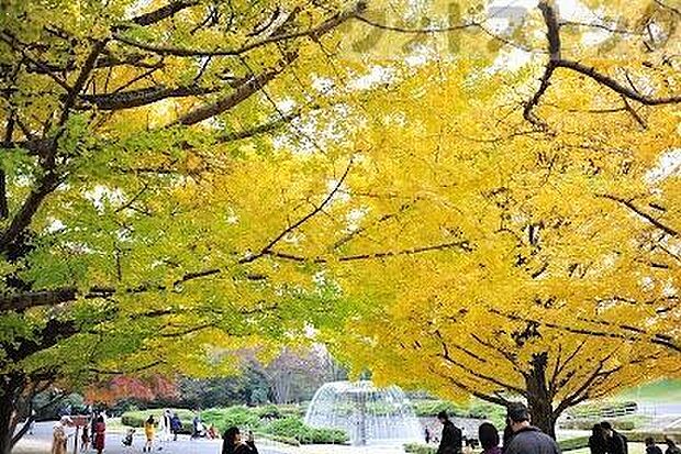 国営昭和記念公園 徒歩23分。 1830m