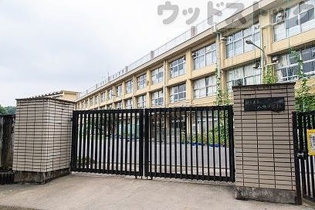 練馬区立八坂小学校 徒歩5分。 380m