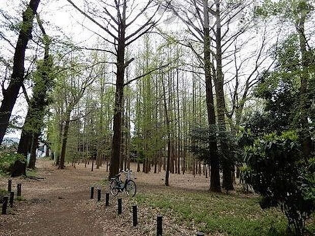 稲荷山憩いの森 徒歩3分。 240m