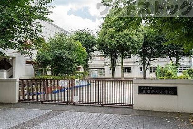 板橋区立赤塚新町小学校 徒歩7分。 500m