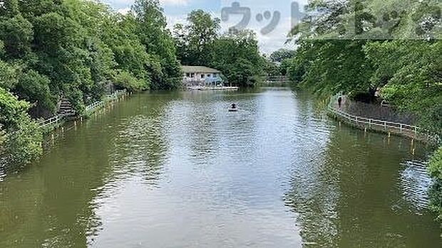 練馬区立武蔵関公園 徒歩8分。 580m