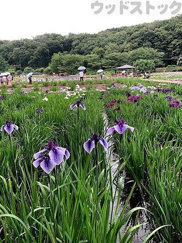 北山公園 徒歩6分。 460m