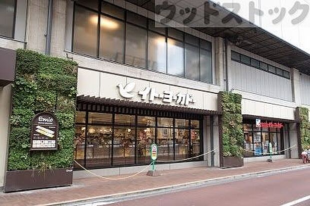 ヨークフーズ 練馬高野台店 徒歩8分。 590m