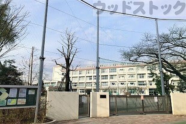 練馬区立南田中小学校 徒歩6分。 430m