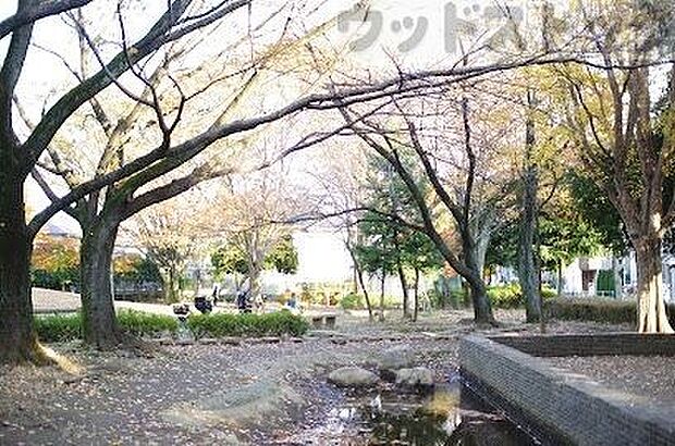 つつじ公園 徒歩8分。 600m