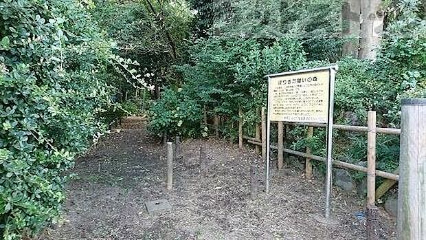 ほりきた憩いの森 徒歩7分。 540m