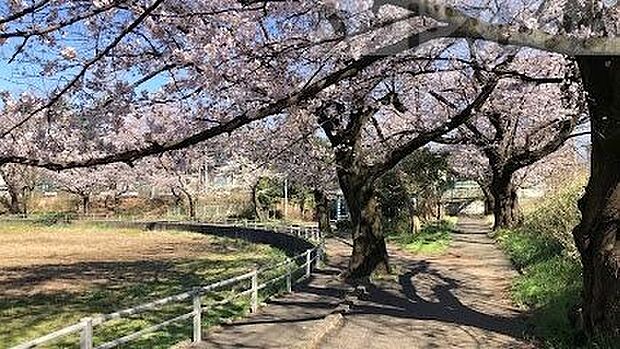 白山公園 徒歩15分。 1140m