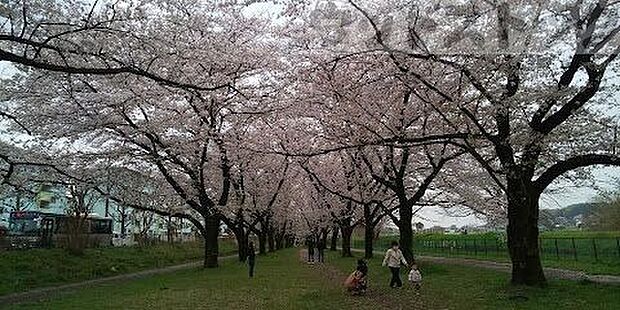 滝の城址公園 徒歩14分。 1100m