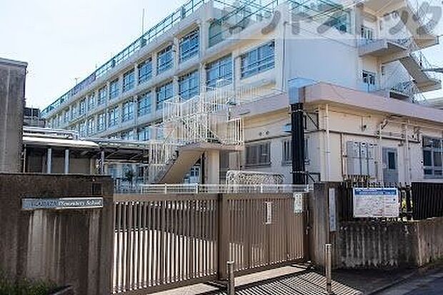 渋谷区立中幡小学校 徒歩6分。 450m