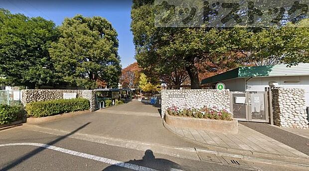 練馬区立大泉交通公園 徒歩12分。 900m