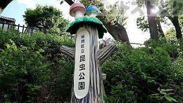 板橋区立昆虫公園 徒歩6分。 420m