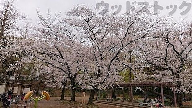 練馬区立 高稲荷公園 徒歩19分。 1460m