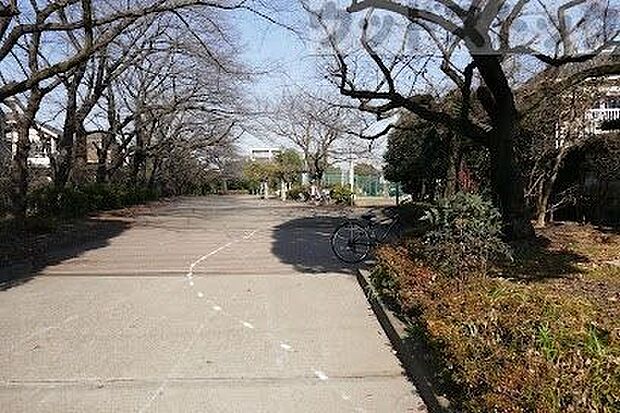 柴崎公園 徒歩11分。 870m