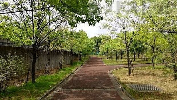 緑地公園 徒歩11分。 870m