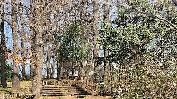 関町北憩いの森 徒歩2分。 110m