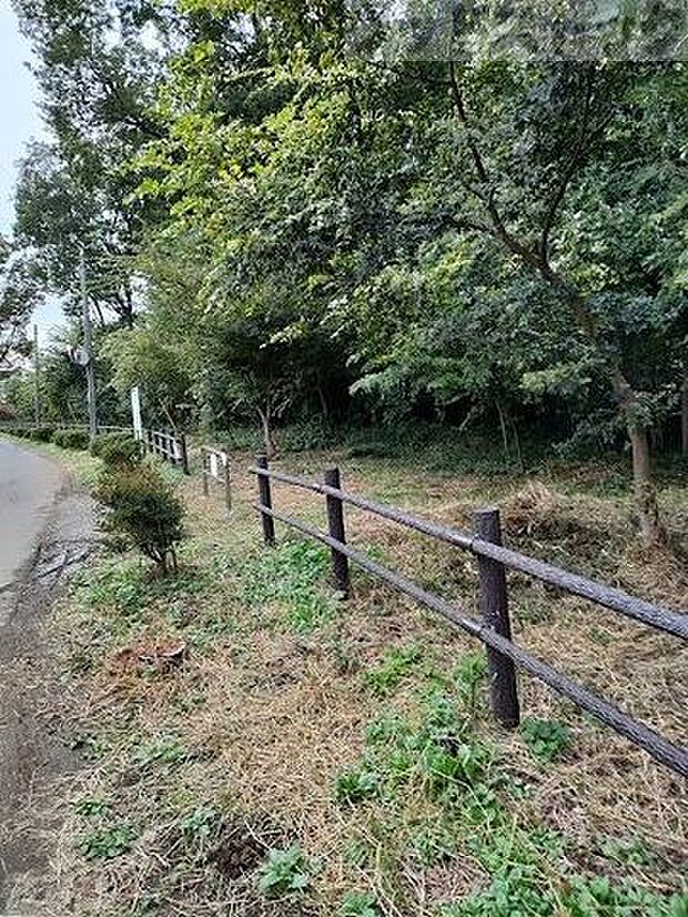 新堀一丁目憩いの森 徒歩10分。 800m