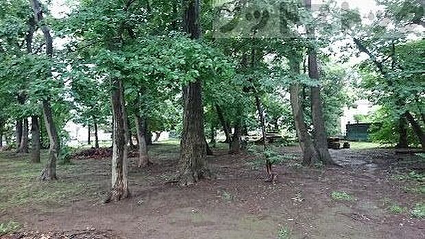 柳窪森の広場 徒歩7分。 560m