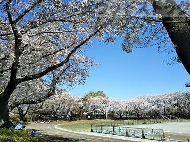 小平中央公園 徒歩5分。 360m