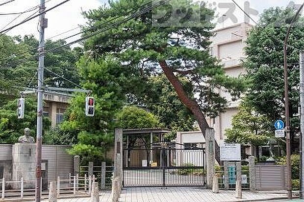 練馬区立大泉小学校 徒歩13分。 990m