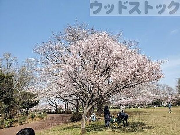 都立東村山中央公園 徒歩14分。 1100m
