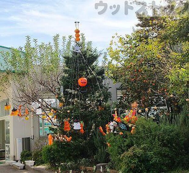 板橋区立徳丸小学校 徒歩8分。 570m