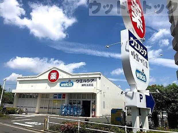 ウエルシア練馬谷原店 徒歩10分。 760m