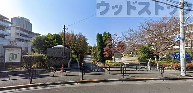 練馬区立むくのき公園 徒歩10分。 800m