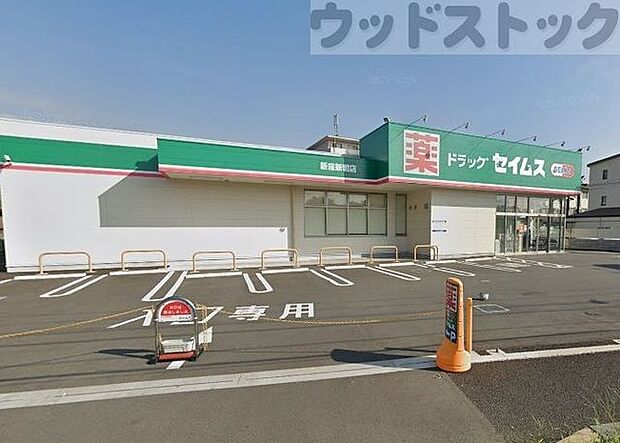 ドラッグセイムス新座新堀店 徒歩8分。 570m